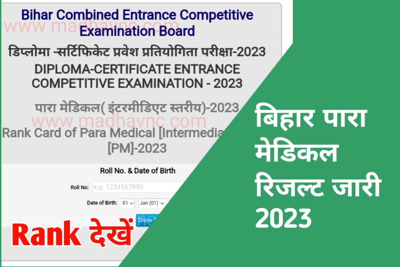 Bihar Dcece Para Medical Result