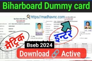 Read more about the article Bseb Matric Inter Dummy admit Card 2024 download link  बिहार बोर्ड मैट्रिक इंटर डमी एडमिट कार्ड यहां से करें डाउनलोड